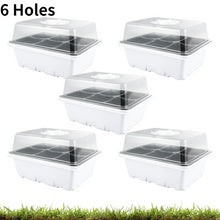 Load image into Gallery viewer, 5 Pcs 6/12 Seed Tray - outdorrz
