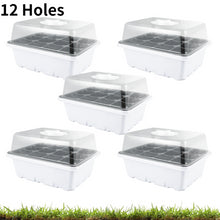 Load image into Gallery viewer, 5 Pcs 6/12 Seed Tray - outdorrz
